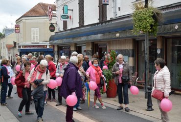 neuilly-plaisance-marche-rose-octobre-2021 17